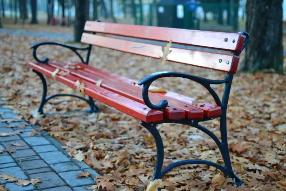 Park Bench in Red